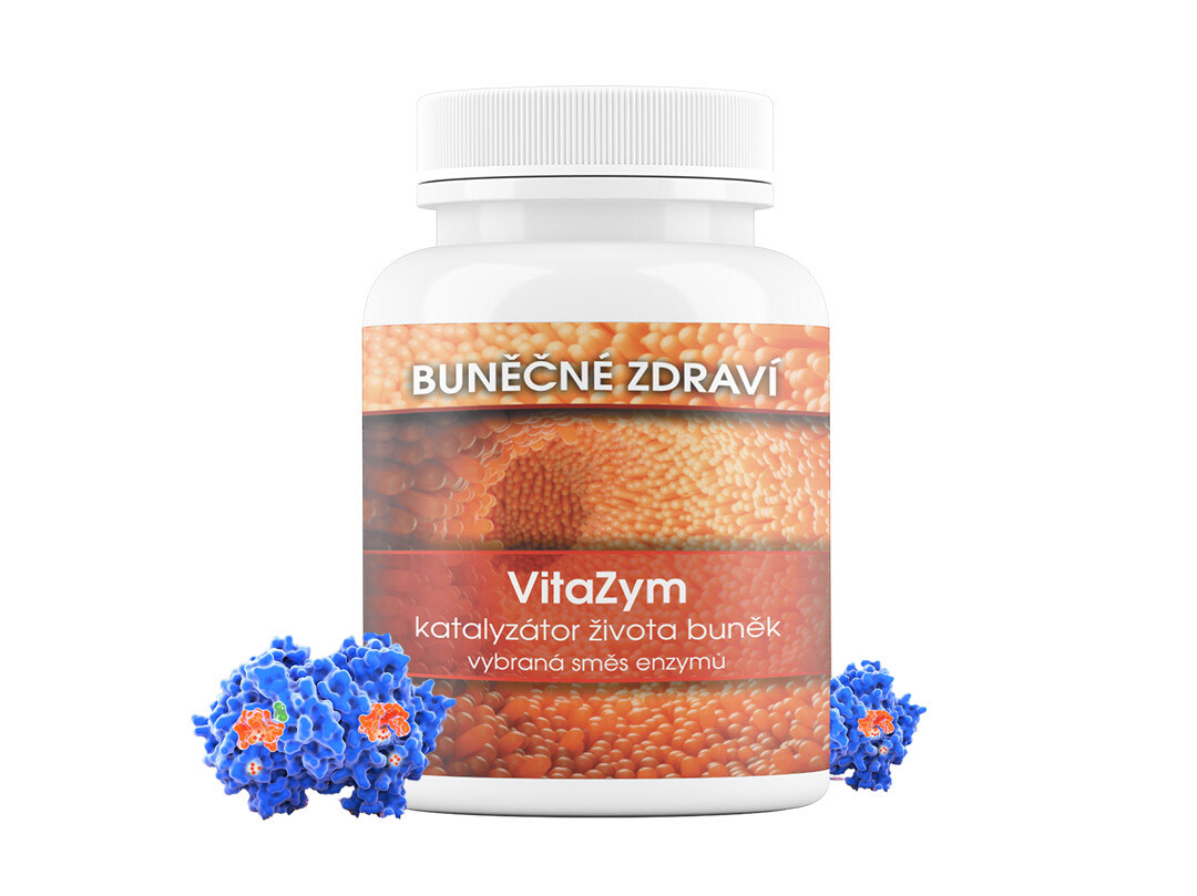 vitazym_back2
